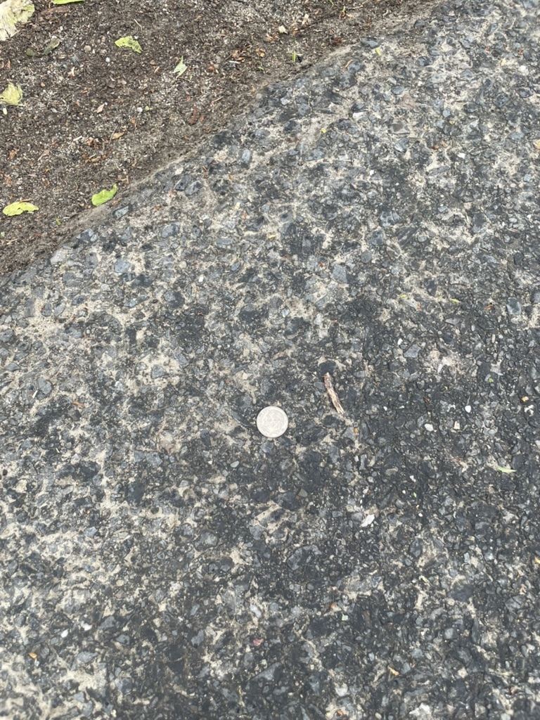 Now THIS is gonna be a lucky&nbsp;day